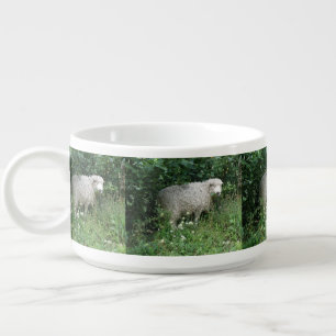 Cute White Fluffy Sheep Eating Chili Bowl