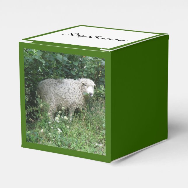 Cute White Fluffy Sheep Eating Custom Favor Box (Front Side)