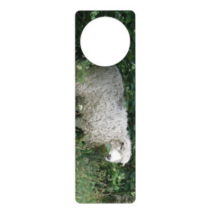 Cute White Fluffy Sheep Eating Door Hanger