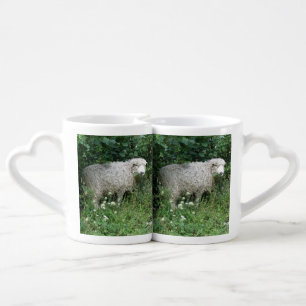 Cute White Fluffy Sheep Eating Lovers Mugs