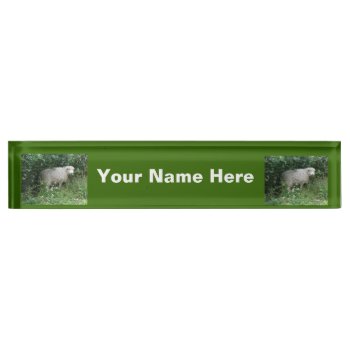 Cute White Fluffy Sheep Eating Nameplate by Fallen_Angel_483 at Zazzle