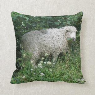 Cute White Fluffy Sheep Eating Pillow