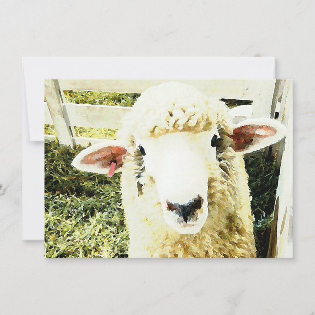 Cute White Fluffy Sheep Invitation (Front)