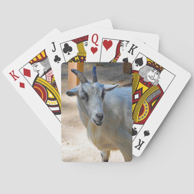 Cute White Goat Photo Poker Cards (Back)