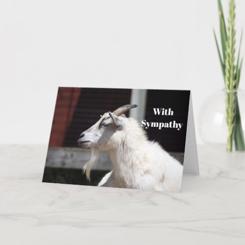 Cute White Goat Profile Photo Sympathy Card