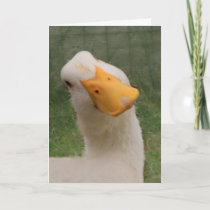 Cute White Goose Birthday Card