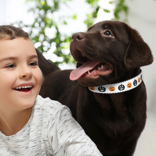Cute White Jack o Lantern Pumpkin Dog Halloween Pet Collar