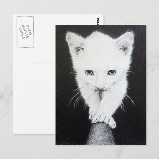 Cute white kitten Animal drawing art Cat lovers Postcard (Front/Back)