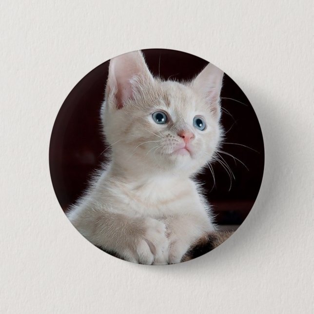 Cute white kitten button (Front)