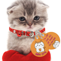 Cute White Kitten Cartoon Kawaii Orange Pink