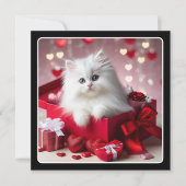 Cute White Kitten in Box Funny Valentine  Holiday Card (Front)