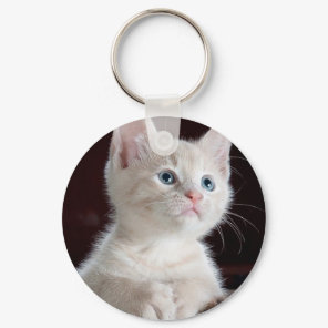 Cute white kitten keychain
