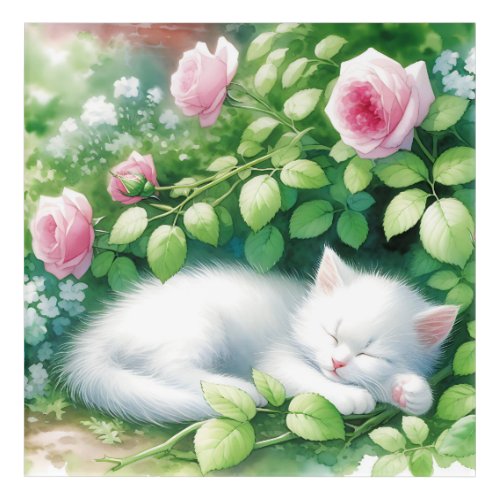Cute White Kitten Napping Under Rosebush Acrylic Print