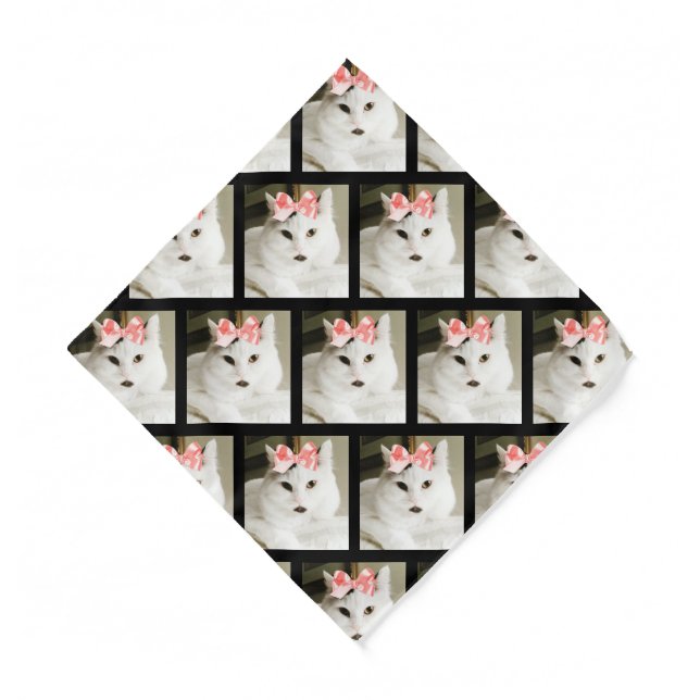 Cute White Kitten Pet Photo Custom Bandana (Front)