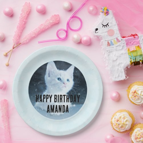 Cute White Kitten Photo on Birthday Paper Plates