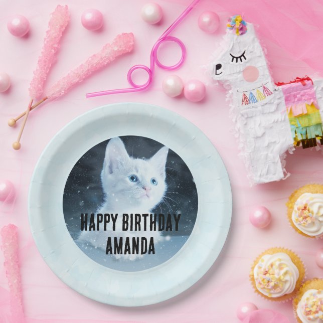 Cute White Kitten Photo on Birthday Paper Plates (Party)
