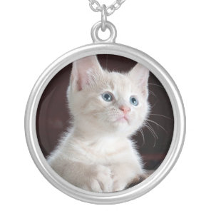 Cute white kitten silver plated necklace