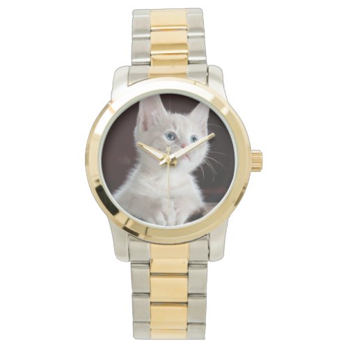 Cute white kitten watch