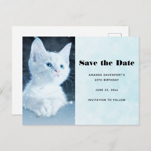 Cute White Kitten with Pretty Blue Eyes Invitation Postcard