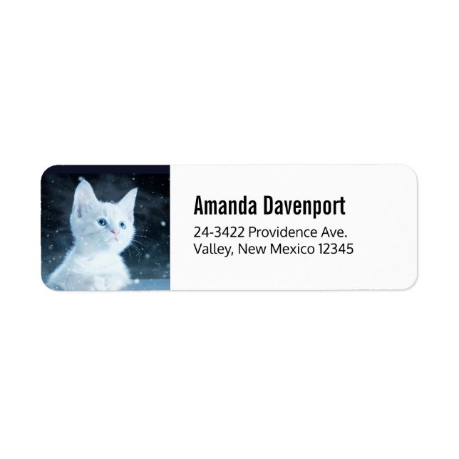 Cute White Kitten with Pretty Blue Eyes Label (Front)