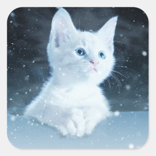 Cute White Kitten with Pretty Blue Eyes Square Sticker