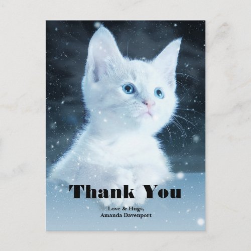 Cute White Kitten with Pretty Blue Eyes Thank You Postcard