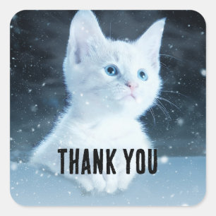 Cute White Kitten with Pretty Blue Eyes Thank You Square Sticker