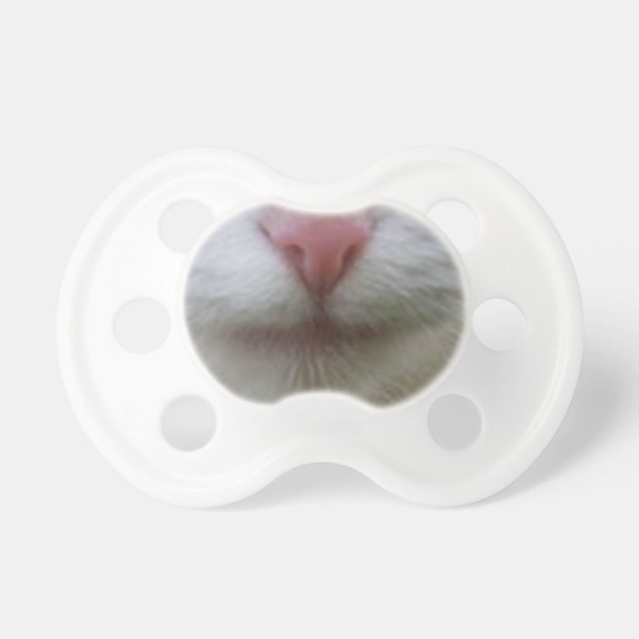 kitten pacifier petco