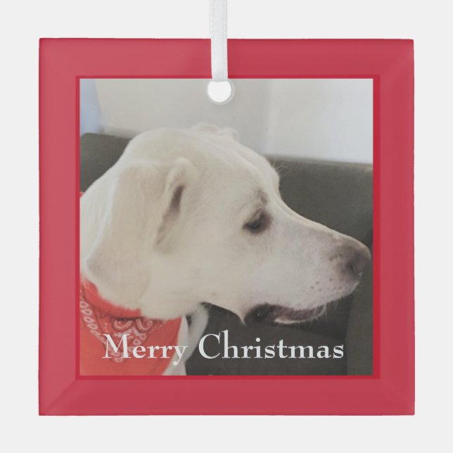 Cute White Labrador Mix Dog Christmas Red Square Glass Ornament (Front)