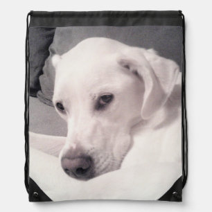 Cute White Labrador Mix Dog Drawstring Backpack