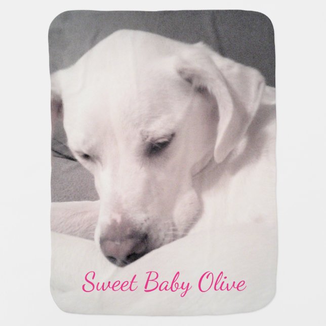 Cute White Labrador Mix Dog Gray Baby Blanket (Front)