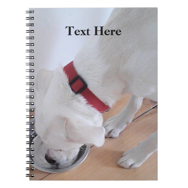 Cute White Labrador Mix Puppy Dog Back to School Notebook (Front)