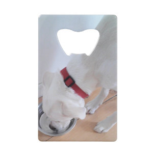 Cute White Labrador Mix Puppy Dog Drinking Water Credit Card Bottle Opener