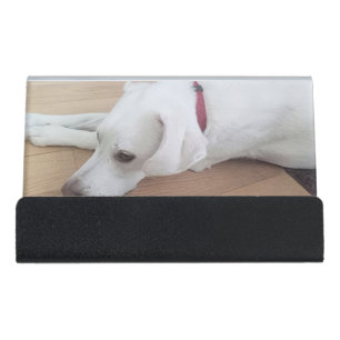 Cute White Labrador Retriever Mix Dog Desk Business Card Holder