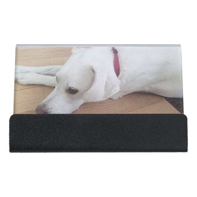 Cute White Labrador Retriever Mix Dog Desk Business Card Holder (Front)
