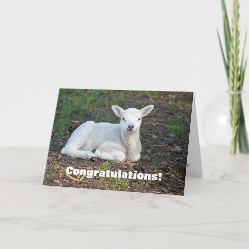 Cute White Lamb Congratulations Baptism Card