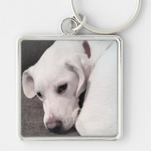 Cute White Lazy Labrador Retriever Mix Dog Keychai Keychain