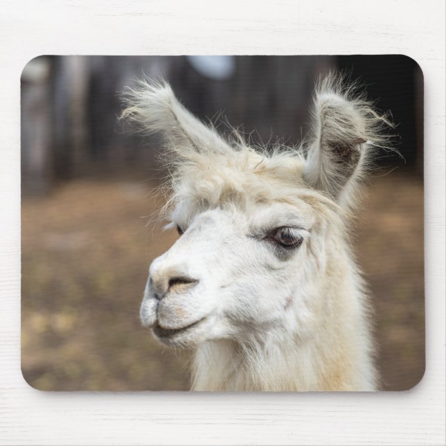 Cute White Llama Mouse Pad (Front)