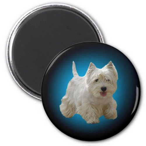 Cute White Maltese Dog Magnet