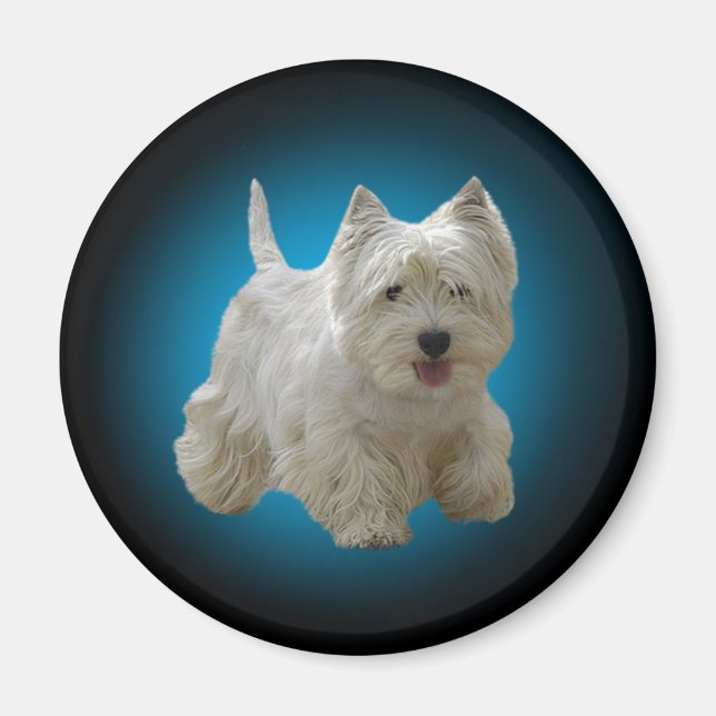 Cute White Maltese Dog Magnet (Front)