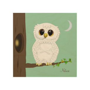 Cute white owl on light green teal wood wall art