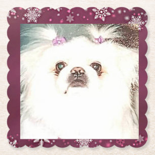 Cute White Pekingese Paper Coasters
