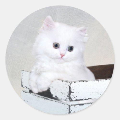 Cute White Persian Kitten Classic Round Sticker