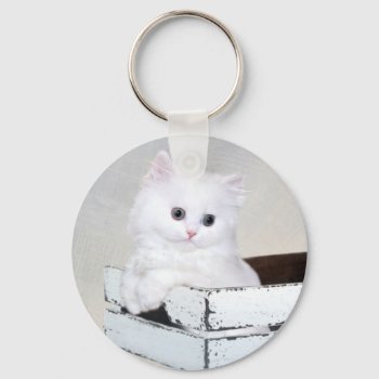 Cute White Persian Kitten Keychain by deemac1 at Zazzle