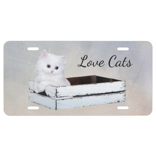 Cute White Persian Kitten License Plate