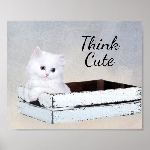 Cute White Persian Kitten Poster