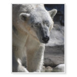Cute White Polar Bear Temporary Tattoos