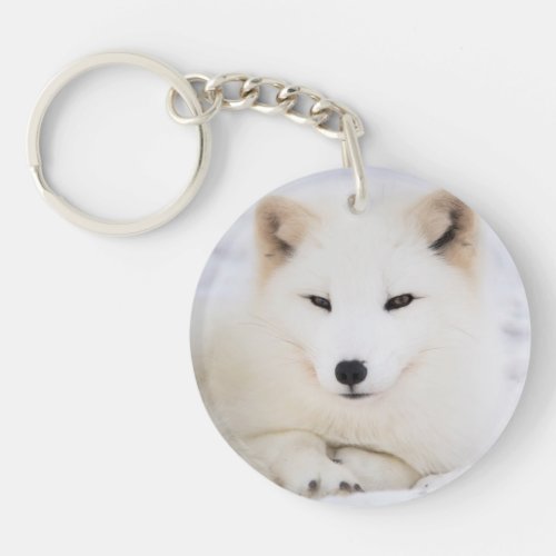 Cute White polar fox Keychain