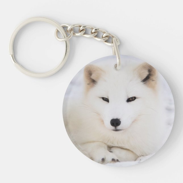 Cute White polar fox Keychain (Front)