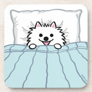 Cute White Pomeranian Dog Tucked into Bed Beverage Coaster